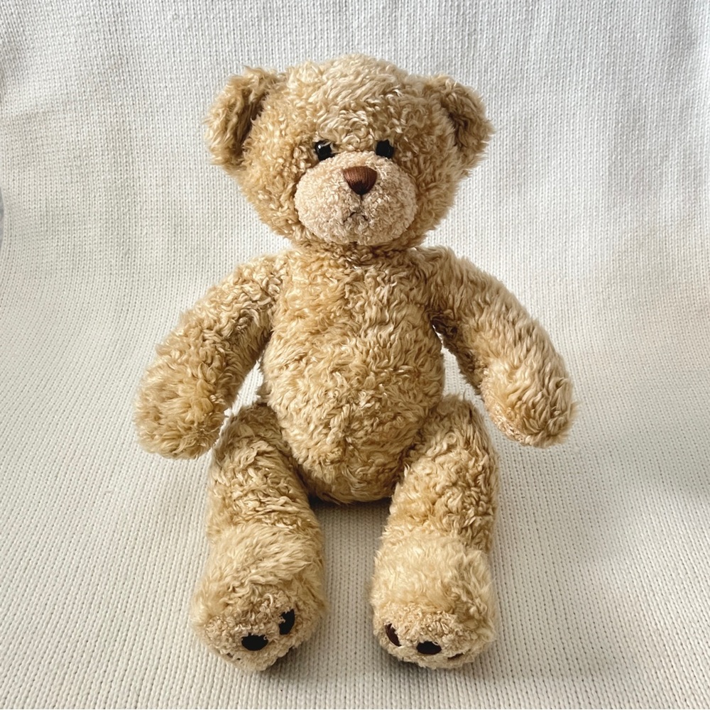 Build a bear stuffed Teddy